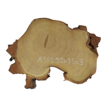 Plaster Akacji 32x25x3cm