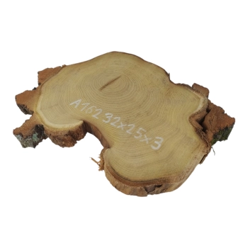 Plaster Akacji 32x25x3cm
