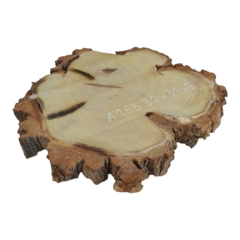 Plaster Akacji 32x31x3cm