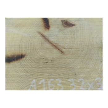 Plaster Akacji 32x31x3cm