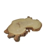 Plaster Akacji 35x25x3cm