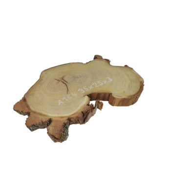 Plaster Akacji 35x25x3cm