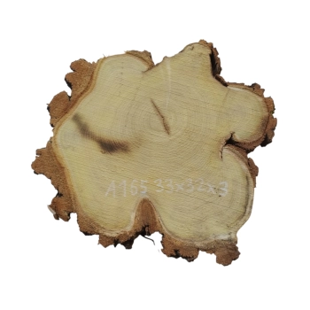 Plaster Akacji 33x32x3cm
