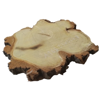 Plaster Akacji 33x32x3cm