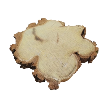 Plaster Akacji 33x32x3cm