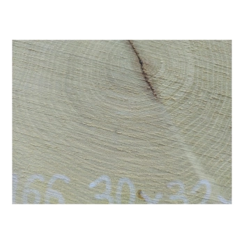 Plaster Akacji 30x32x3cm