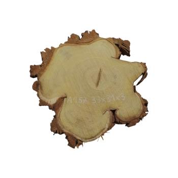 Plaster Akacji 33x31x3cm