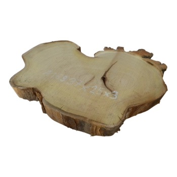 Plaster Akacji 37x25x3cm