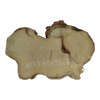 Plaster Akacji 40x25x3cm
