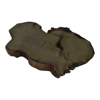 Plaster Akacji 40x25x3cm