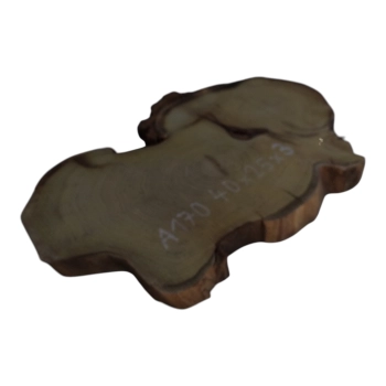 Plaster Akacji 40x25x3cm