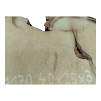 Plaster Akacji 40x25x3cm