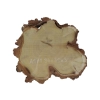Plaster Akacji 34x31x3cm