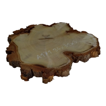 Plaster Akacji 34x31x3cm