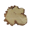Plaster Akacji 34x31x3cm