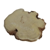 Plaster Akacji 30x27x3cm
