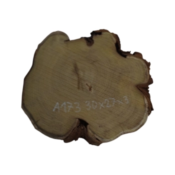 Plaster Akacji 30x27x3cm