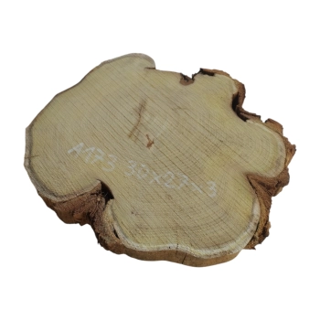 Plaster Akacji 30x27x3cm