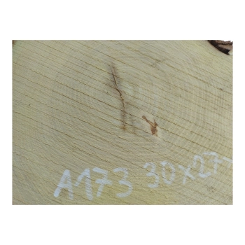 Plaster Akacji 30x27x3cm
