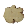 Plaster Akacji 31x30x3cm