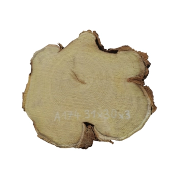 Plaster Akacji 31x30x3cm