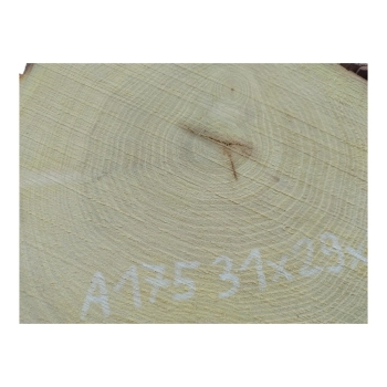 Plaster Akacji 31x29x3cm