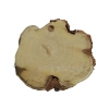 Plaster Akacji 30x28x3cm