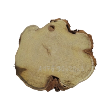 Plaster Akacji 30x28x3cm