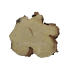 Plaster Akacji 30x29x3cm