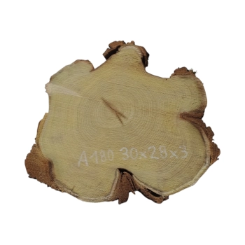 Plaster Akacji 30x28x3cm