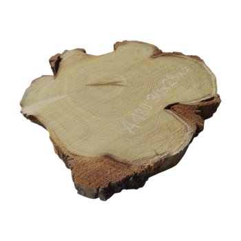 Plaster Akacji 30x28x3cm