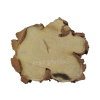 Plaster Akacji 31x30x3cm