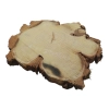 Plaster Akacji 31x30x3cm