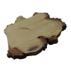 Plaster Akacji 31x30x3cm