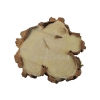 Plaster Akacji 31x30x3cm