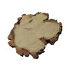Plaster Akacji 31x30x3cm
