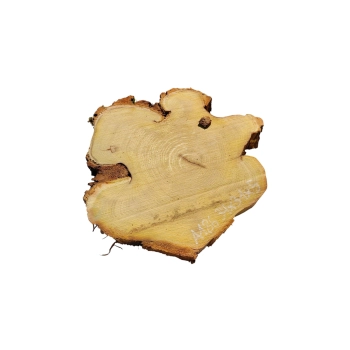 Plaster Akacji 34x31x5cm