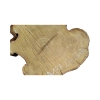 Plaster Akacji 27x26x3,5cm