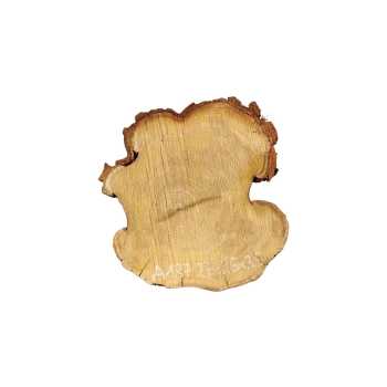 Plaster Akacji 27x26x3,5cm