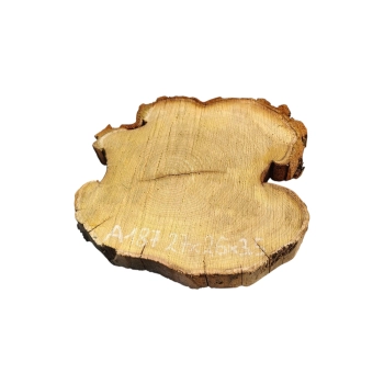 Plaster Akacji 27x26x3,5cm