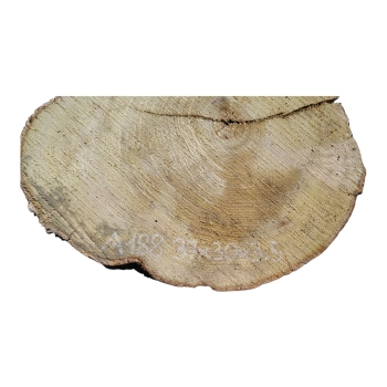 Plaster Akacji 37x30x3,5cm
