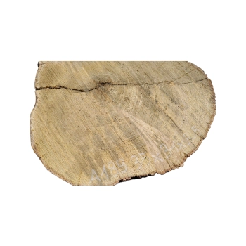 Plaster Akacji 35x31x3,5cm