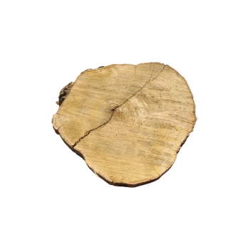 Plaster Akacji 35x31x3,5cm