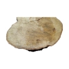 Plaster Akacji 35x33x3,5cm