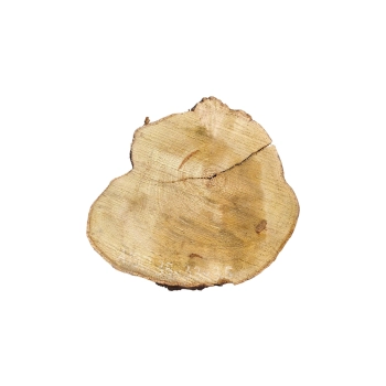 Plaster Akacji 35x33x3,5cm
