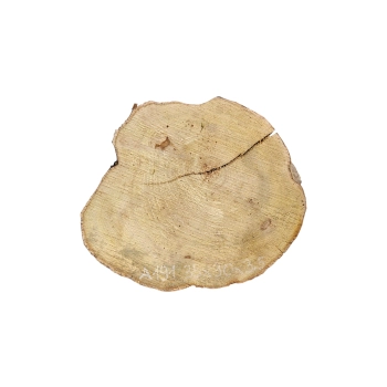 Plaster Akacji 35x30x3,5cm