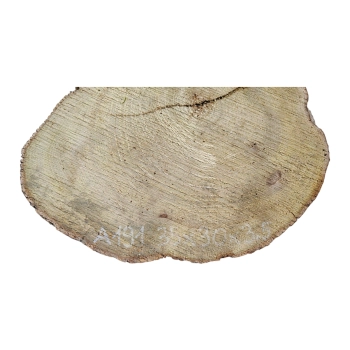 Plaster Akacji 35x30x3,5cm