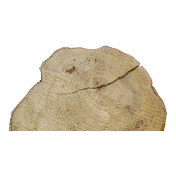 Plaster Akacji 35x30x3,5cm