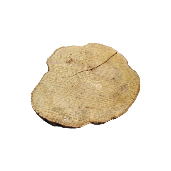 Plaster Akacji 35x30x3,5cm