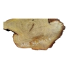 Plaster Akacji 34x31x3,5cm